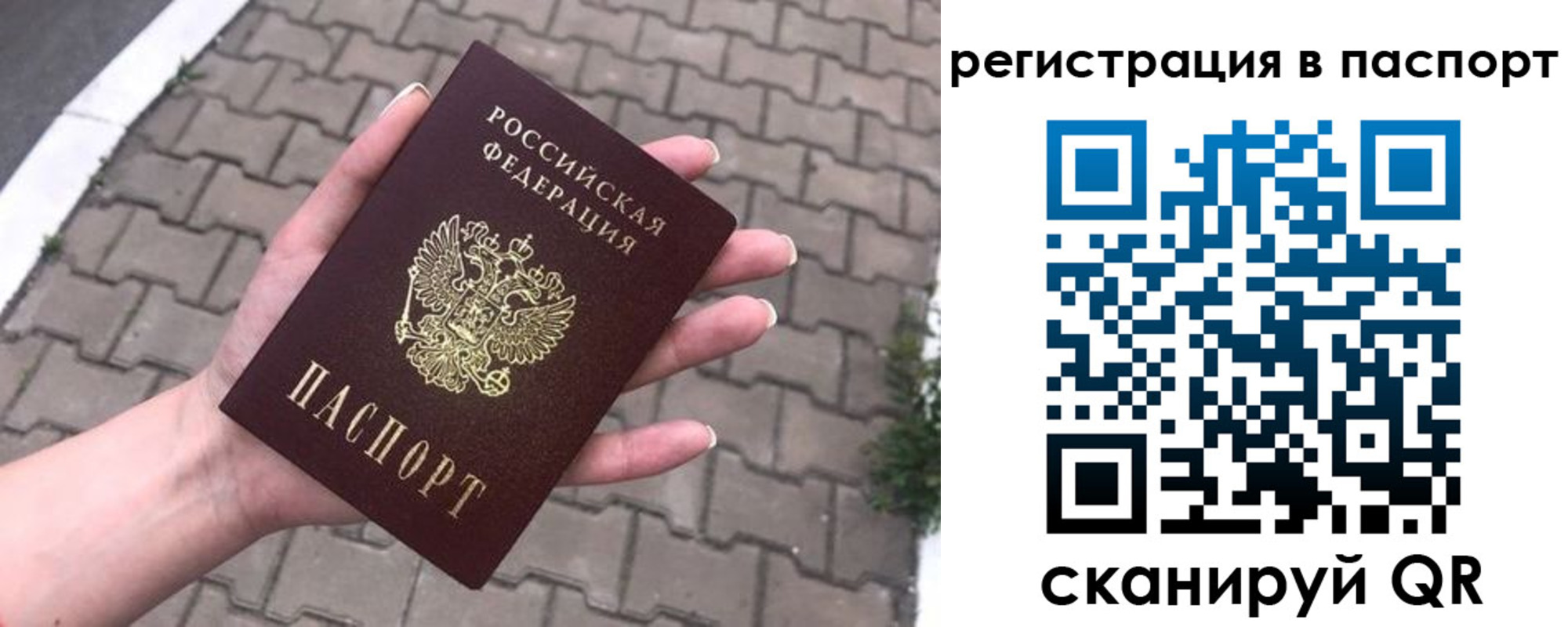 прописка 2025 в Братске